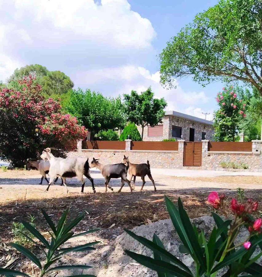 Aithonas Villa Archangelos  Extérieur photo