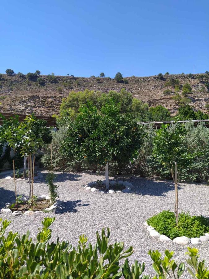 Aithonas Villa Archangelos  Extérieur photo