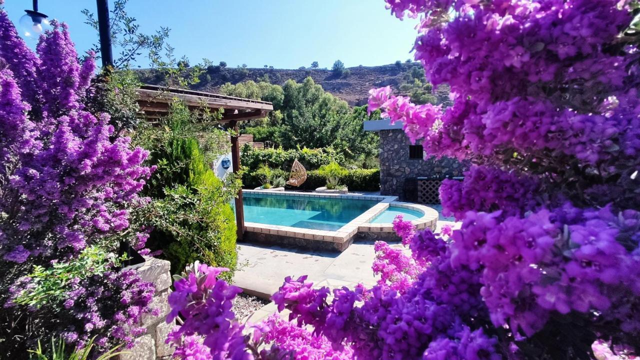 Aithonas Villa Archangelos  Extérieur photo
