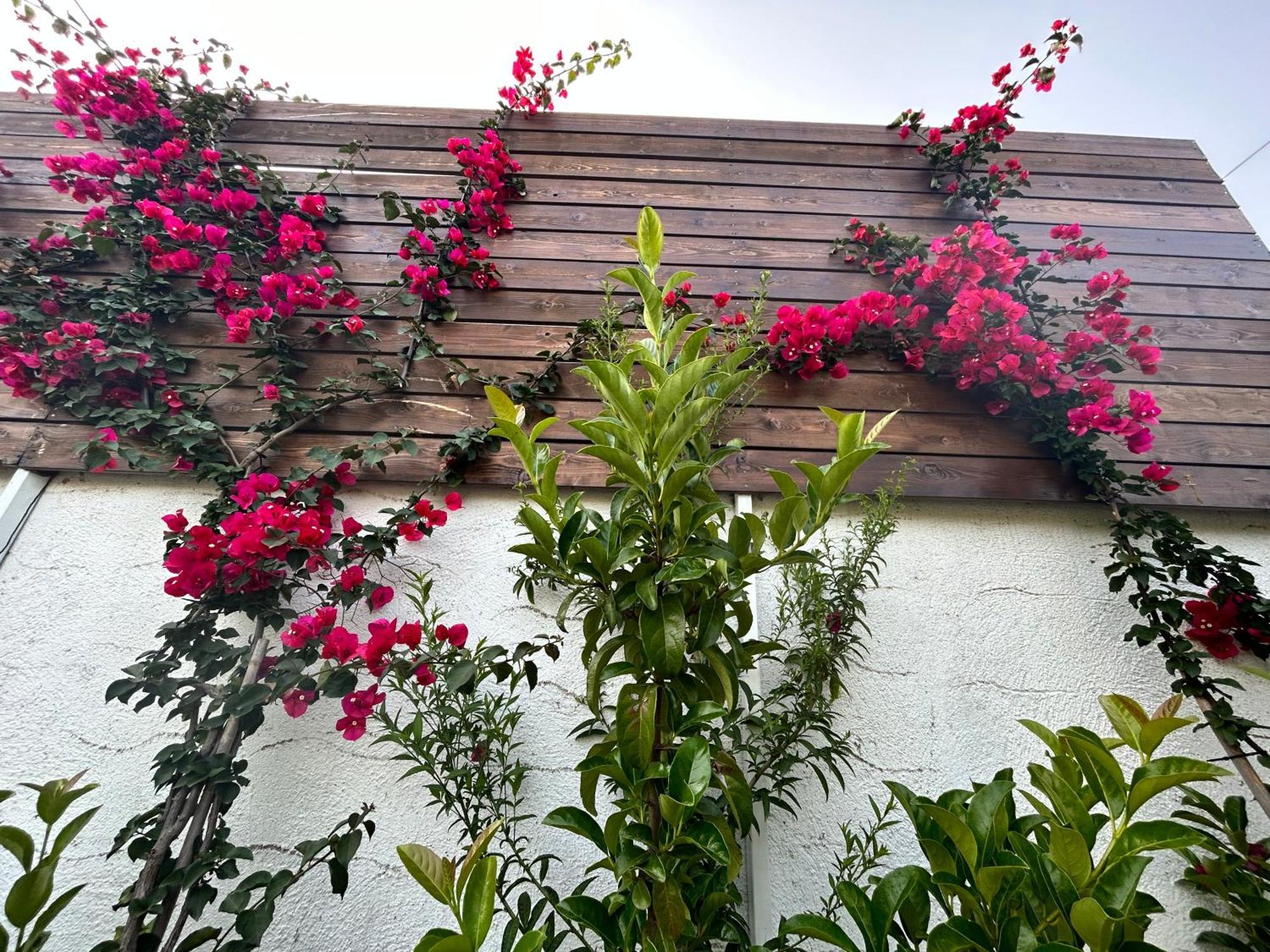 Aithonas Villa Archangelos  Chambre photo