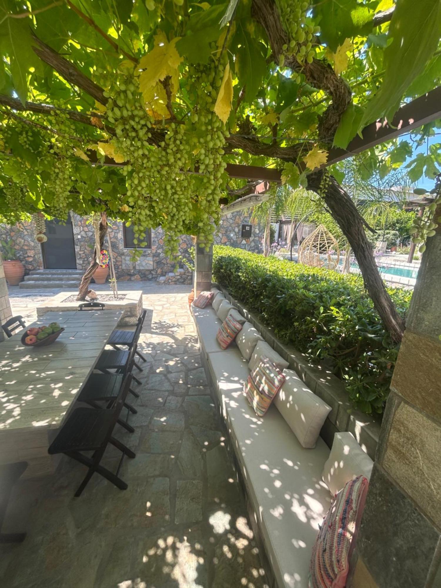 Aithonas Villa Archangelos  Extérieur photo