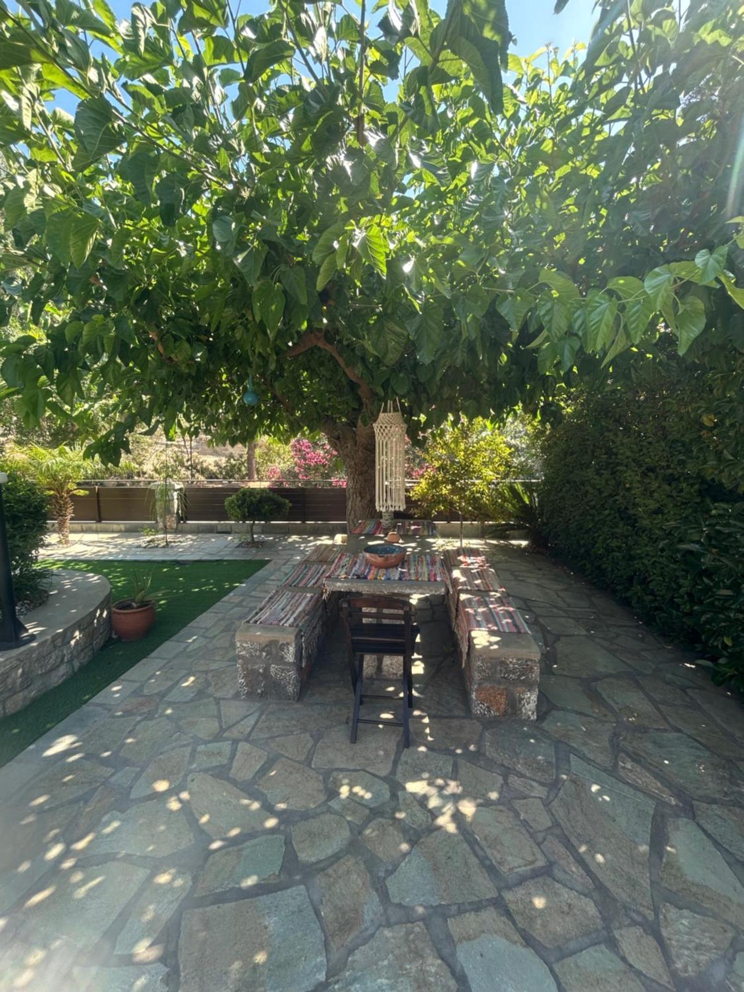 Aithonas Villa Archangelos  Extérieur photo
